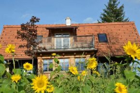 Sonniges Kellerstöckel im Schilcherland